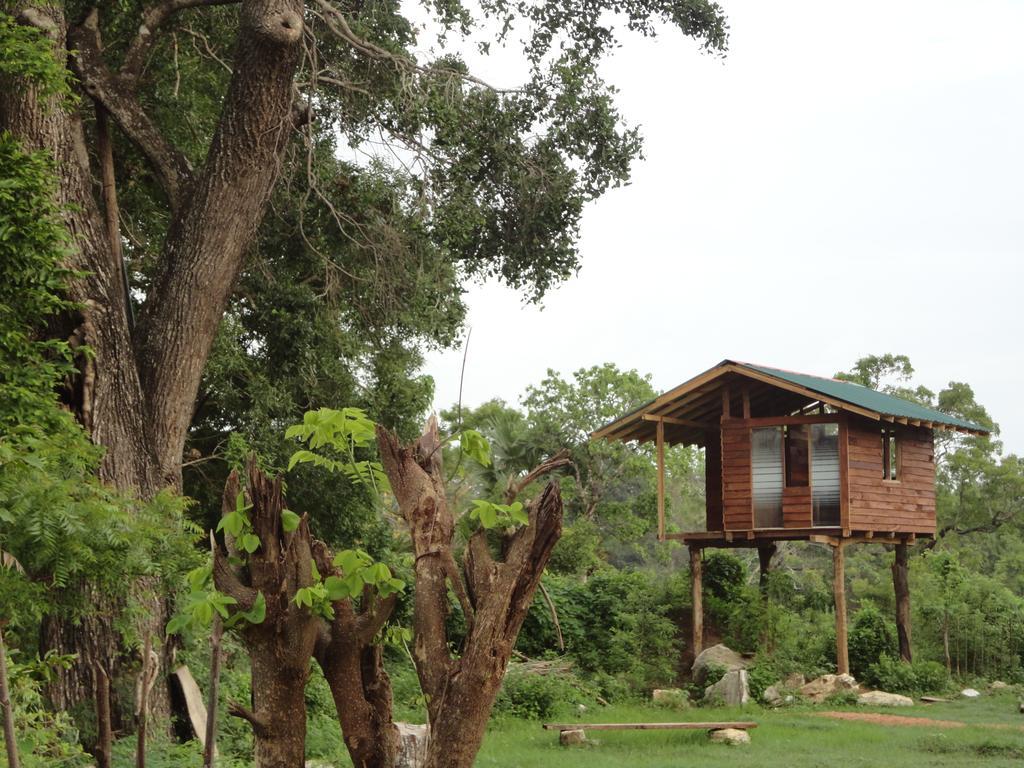 סיגירייה Sigiri Forest View מראה חיצוני תמונה