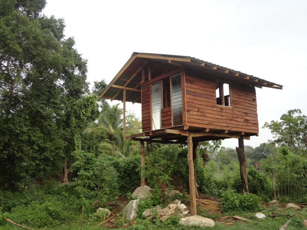 סיגירייה Sigiri Forest View חדר תמונה