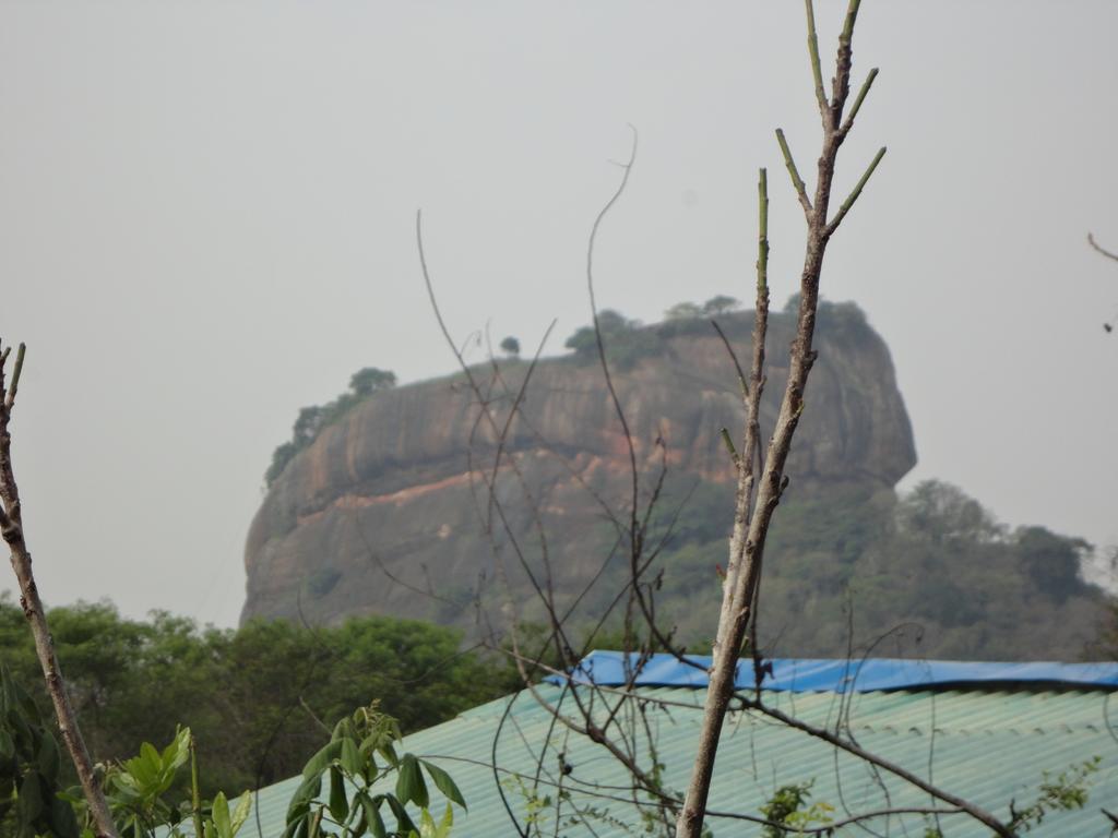 סיגירייה Sigiri Forest View מראה חיצוני תמונה