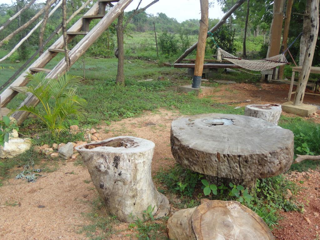 סיגירייה Sigiri Forest View מראה חיצוני תמונה