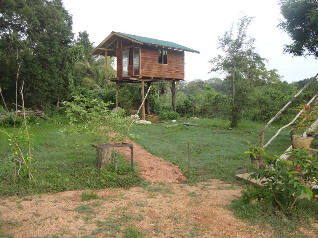 סיגירייה Sigiri Forest View מראה חיצוני תמונה