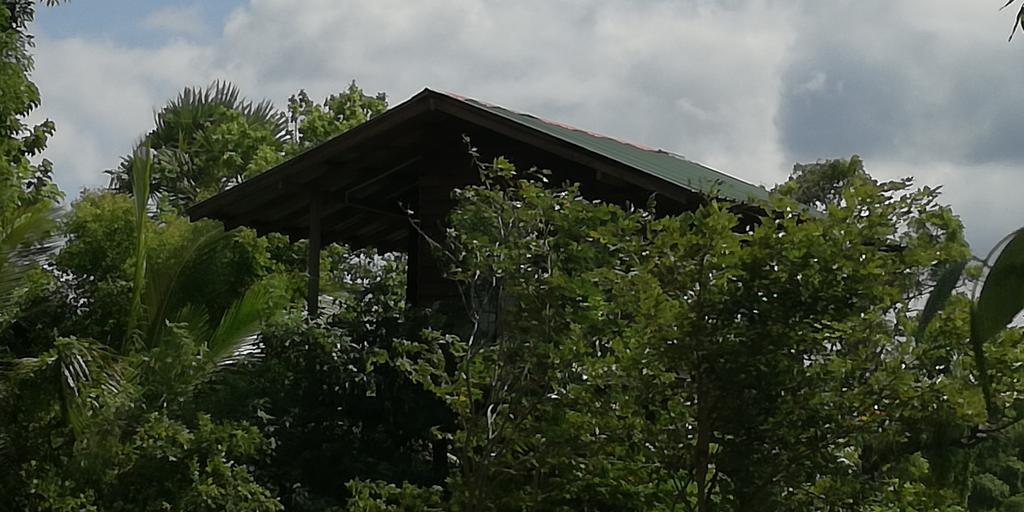 סיגירייה Sigiri Forest View מראה חיצוני תמונה