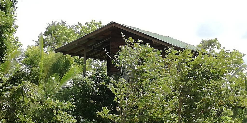 סיגירייה Sigiri Forest View מראה חיצוני תמונה