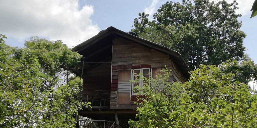 סיגירייה Sigiri Forest View מראה חיצוני תמונה