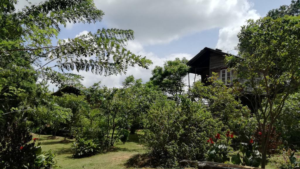 סיגירייה Sigiri Forest View מראה חיצוני תמונה